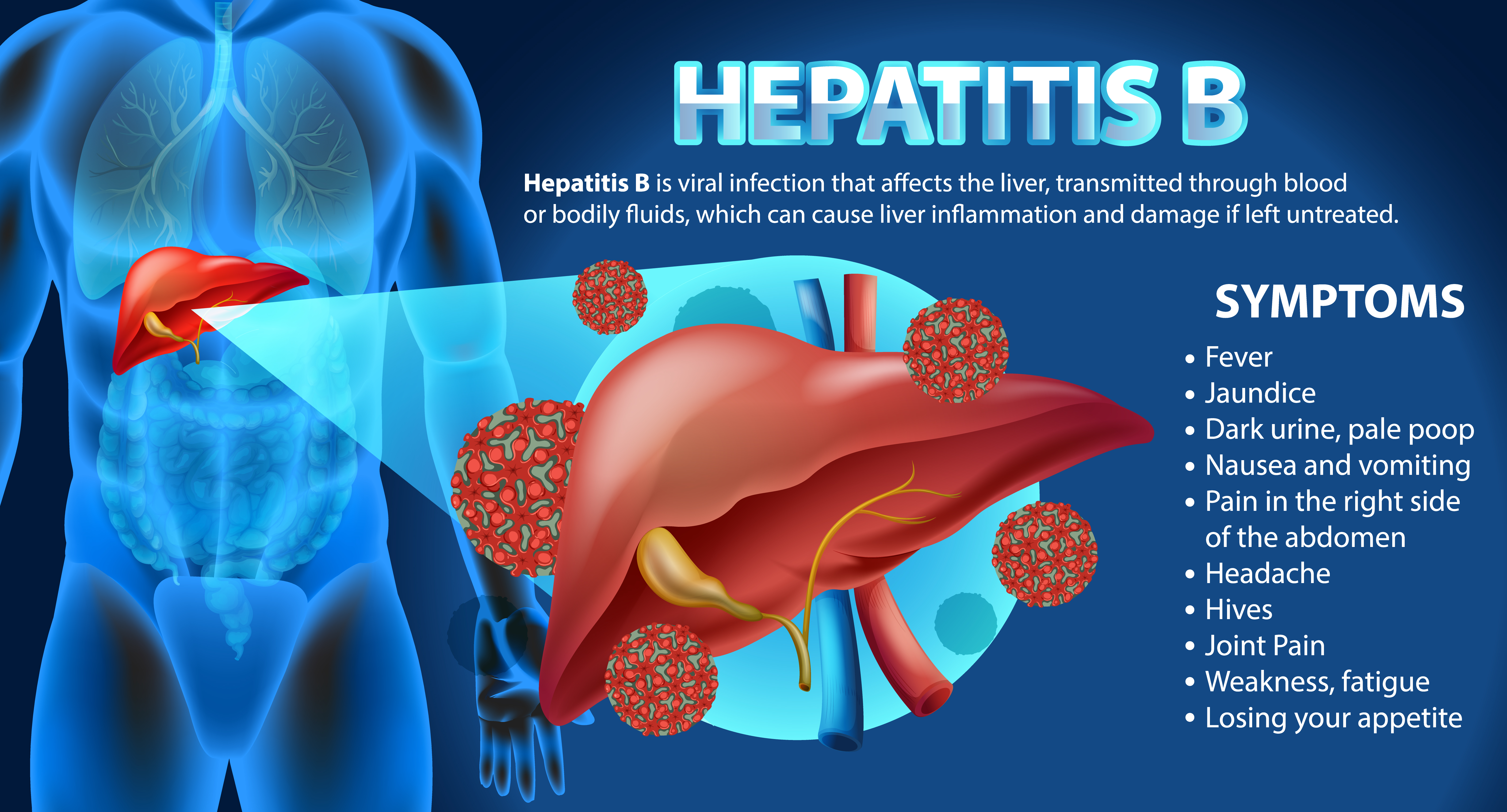 Hepatitis B: Prevention, Vaccine, and Testing